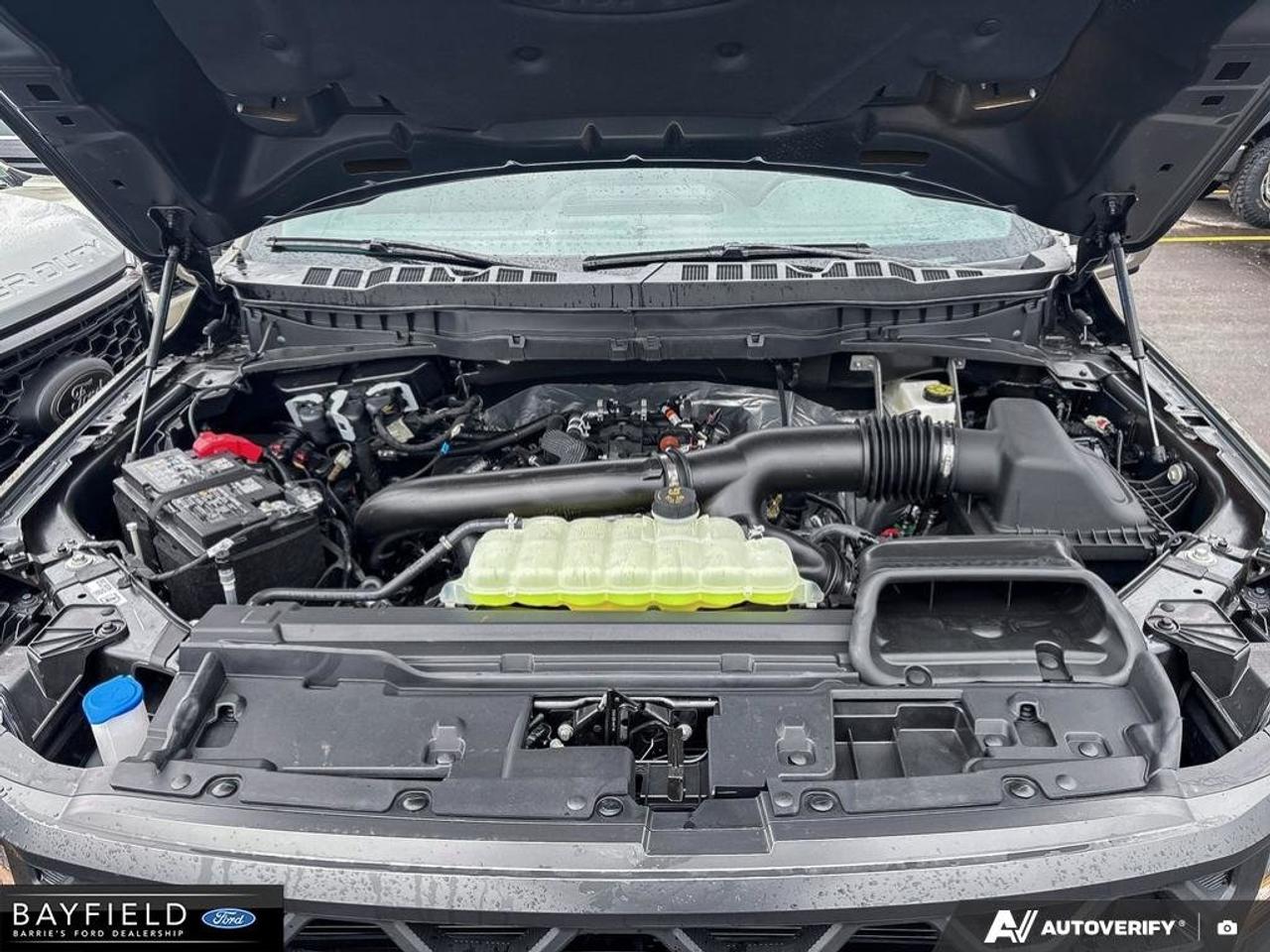 2026 Ford F-150 Tremor Photo