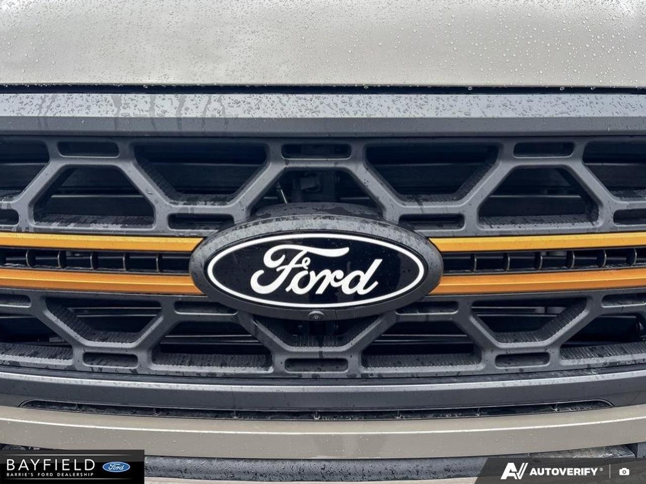 2026 Ford F-150 Tremor Photo