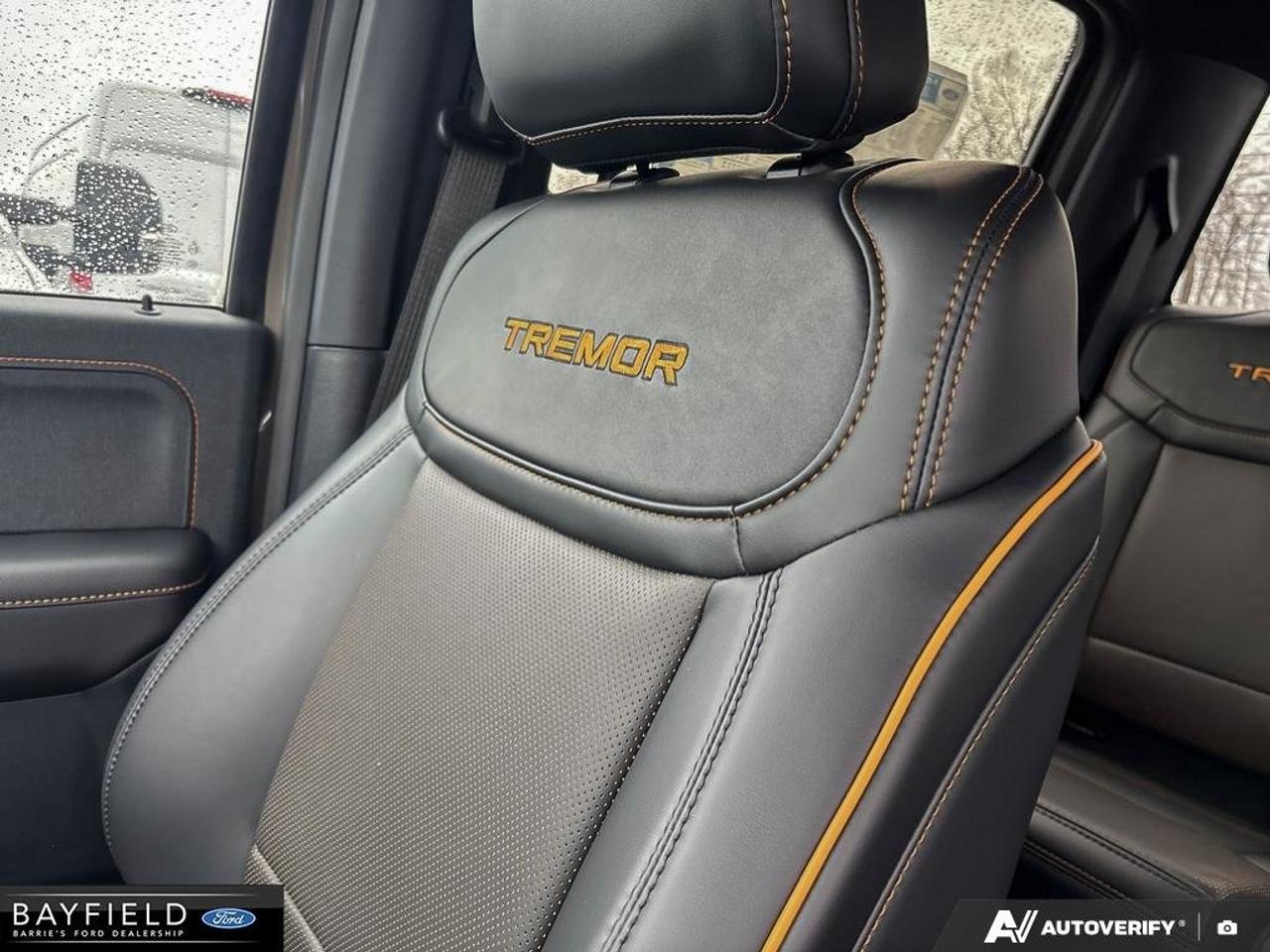 2026 Ford F-150 Tremor Photo