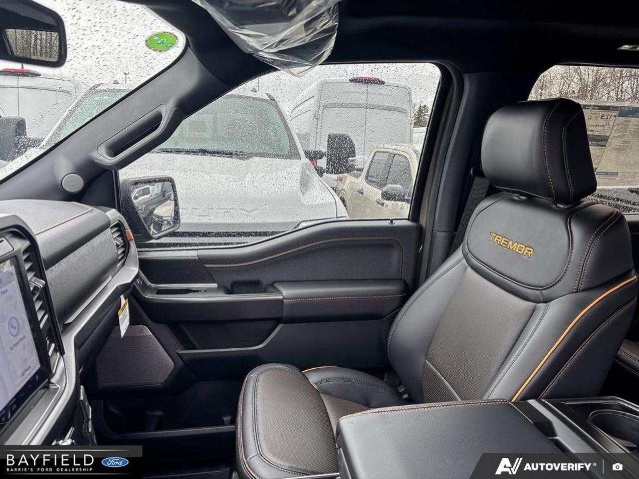 2026 Ford F-150 Tremor Photo