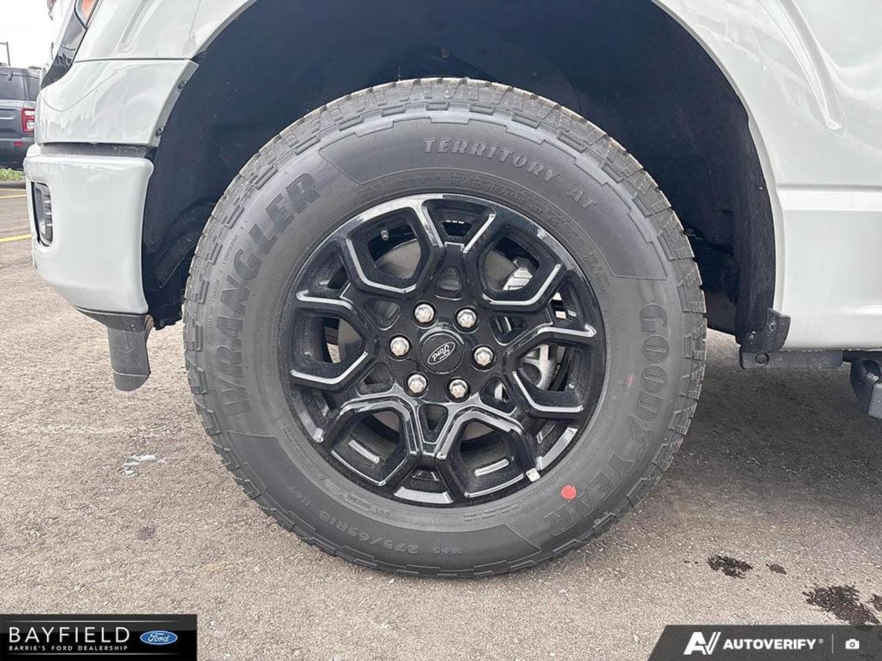 2026 Ford F-150 XLT Photo