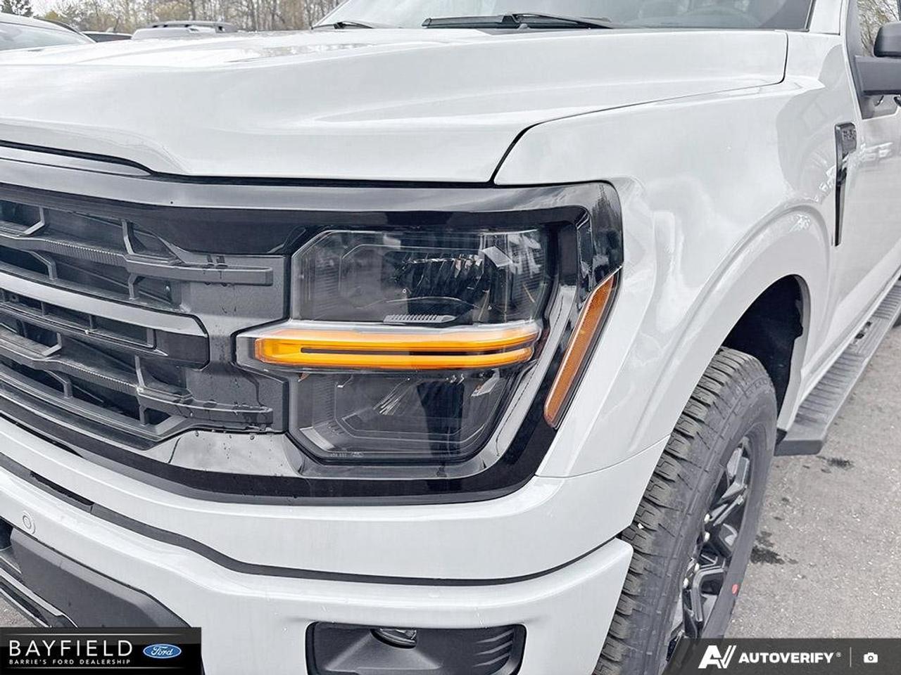 2026 Ford F-150 XLT Photo