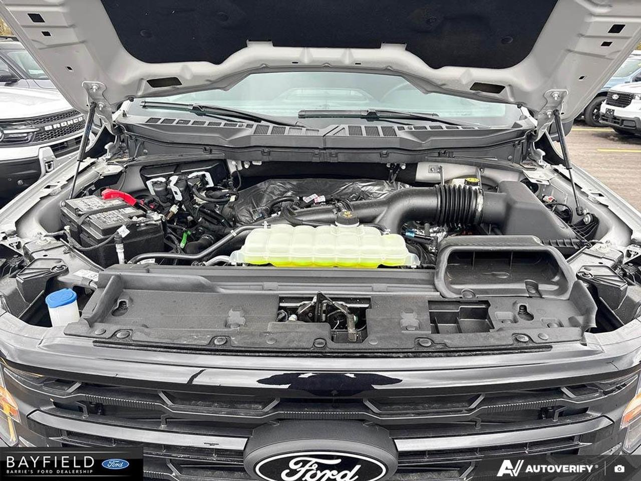2026 Ford F-150 XLT Photo