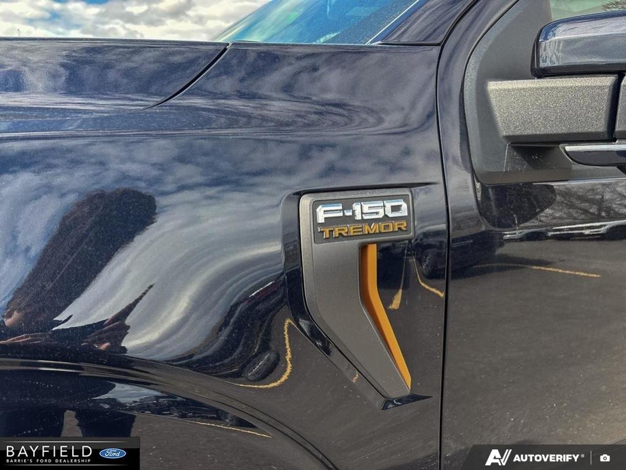 2026 Ford F-150 Tremor Photo