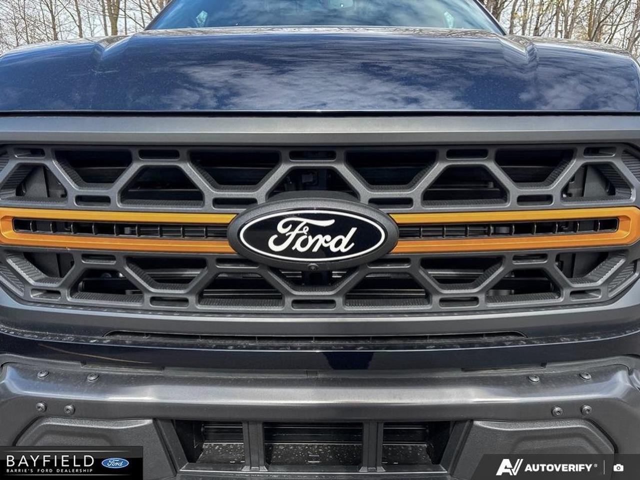 2026 Ford F-150 Tremor Photo