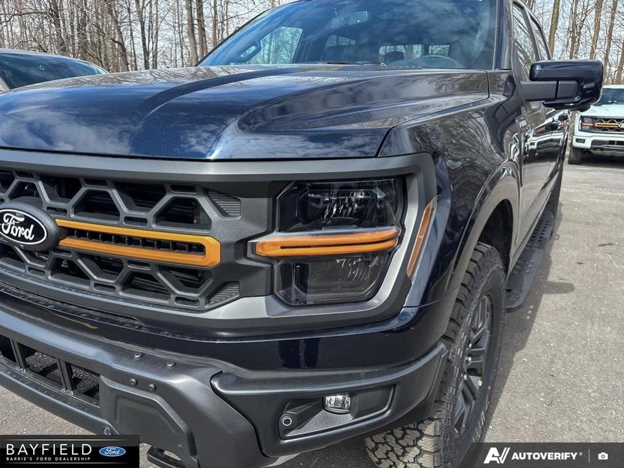 2026 Ford F-150 Tremor Photo