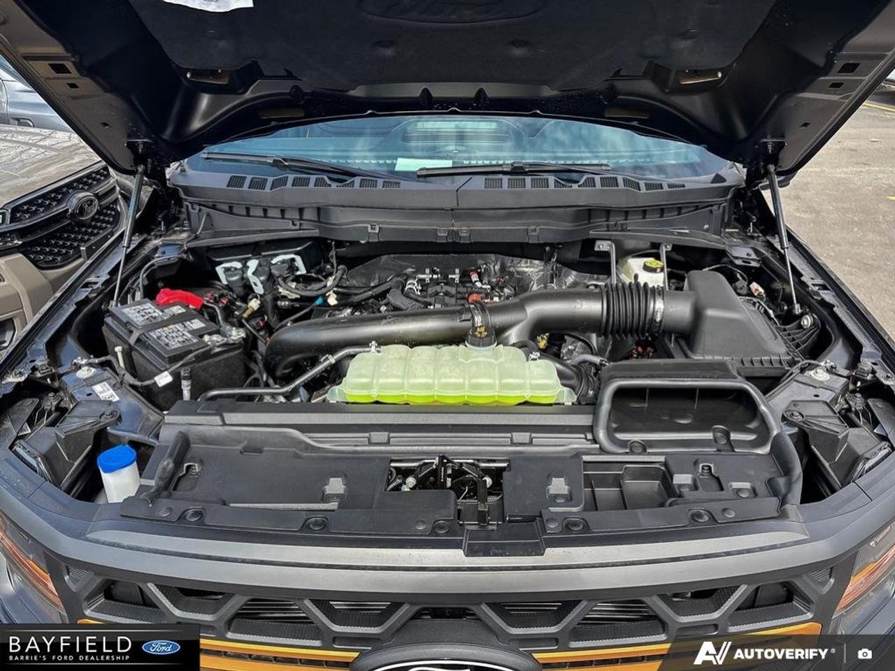 2026 Ford F-150 Tremor Photo