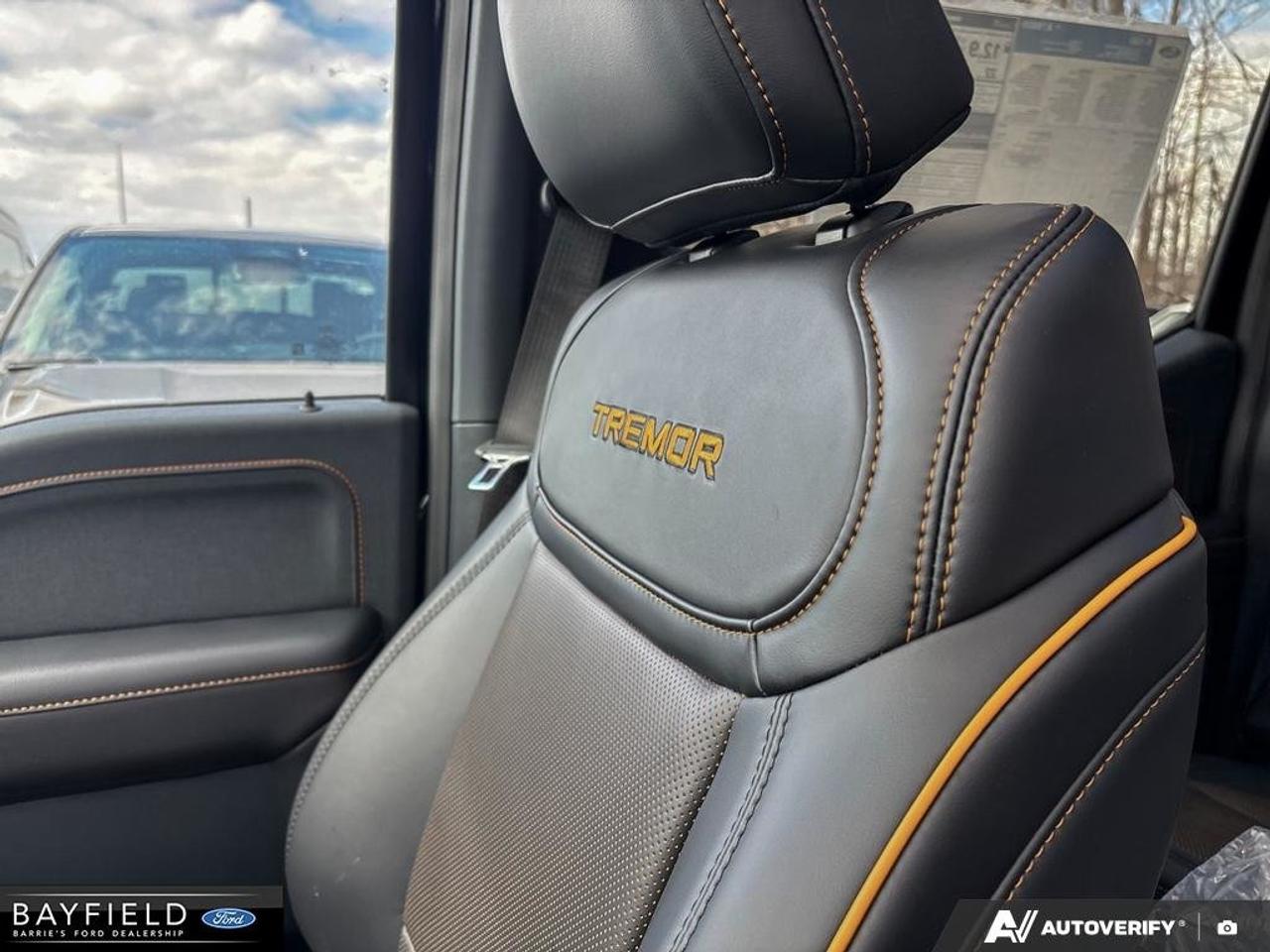 2026 Ford F-150 Tremor Photo