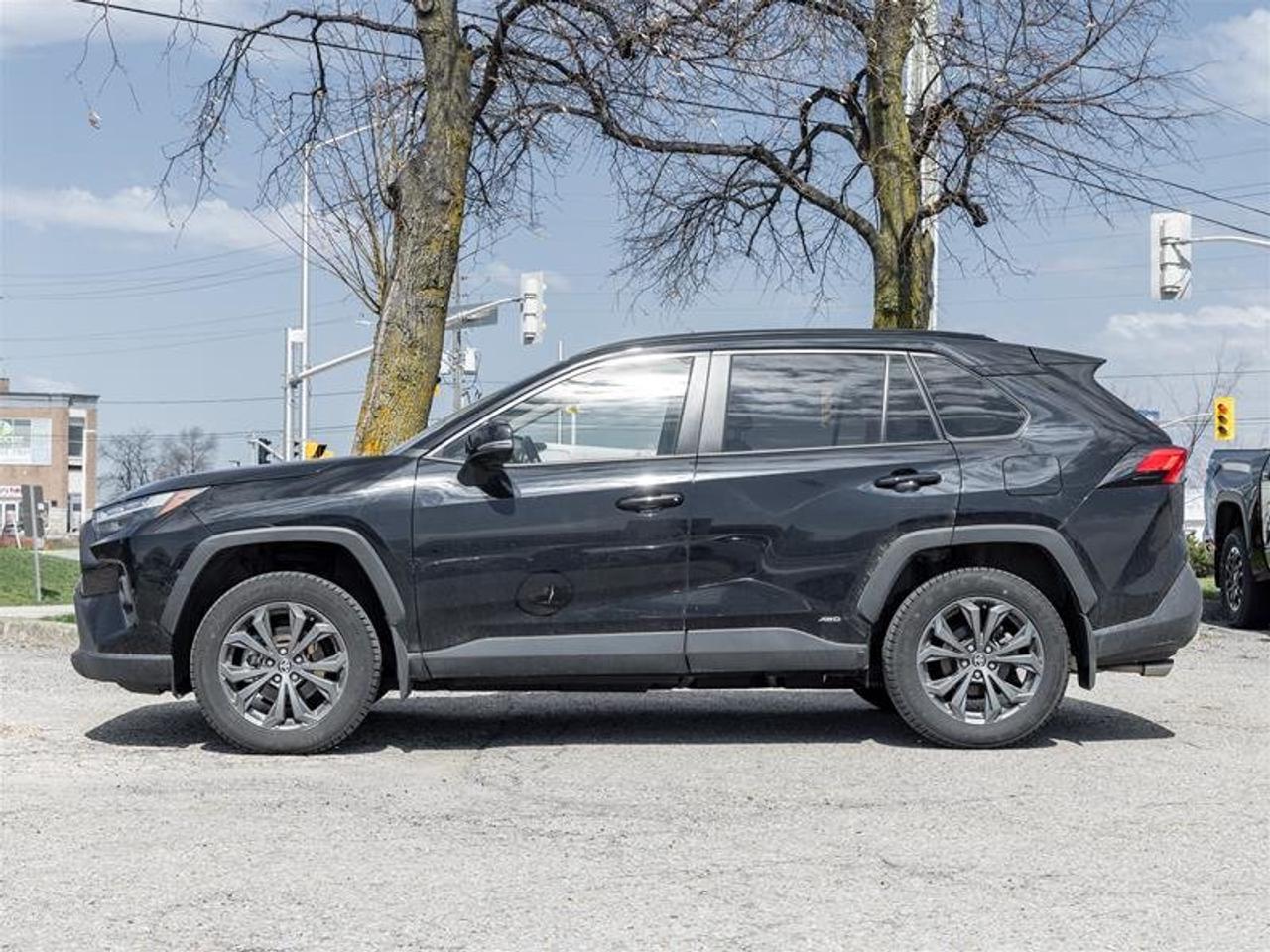 2025 Toyota RAV4 Hybrid XLE AWD Backup Cam | Heated Seats | Climate Control | Hybrid | XLE Photo2