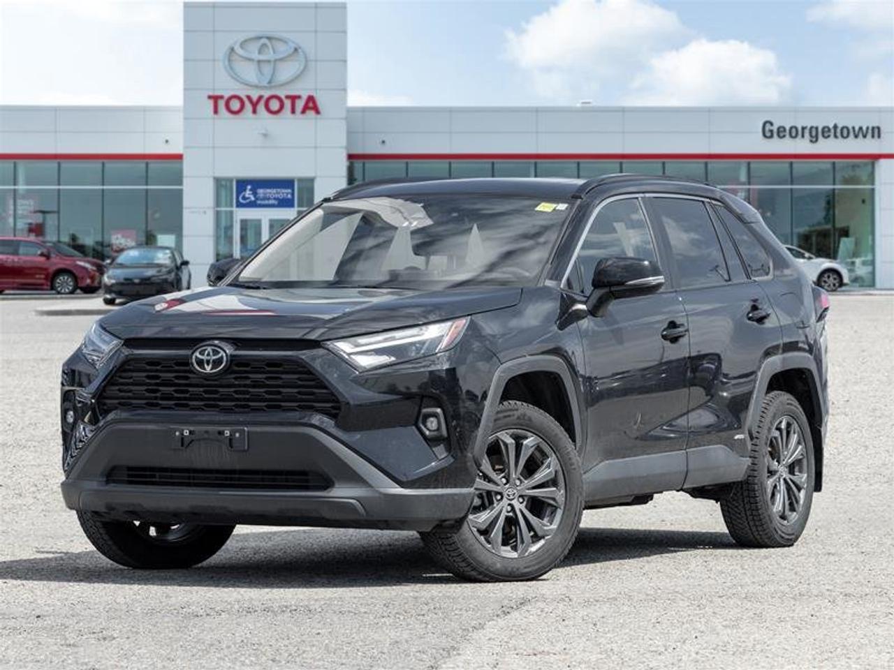 2025 Toyota RAV4 Hybrid XLE AWD Backup Cam | Heated Seats | Climate Control | Hybrid | XLE Photo