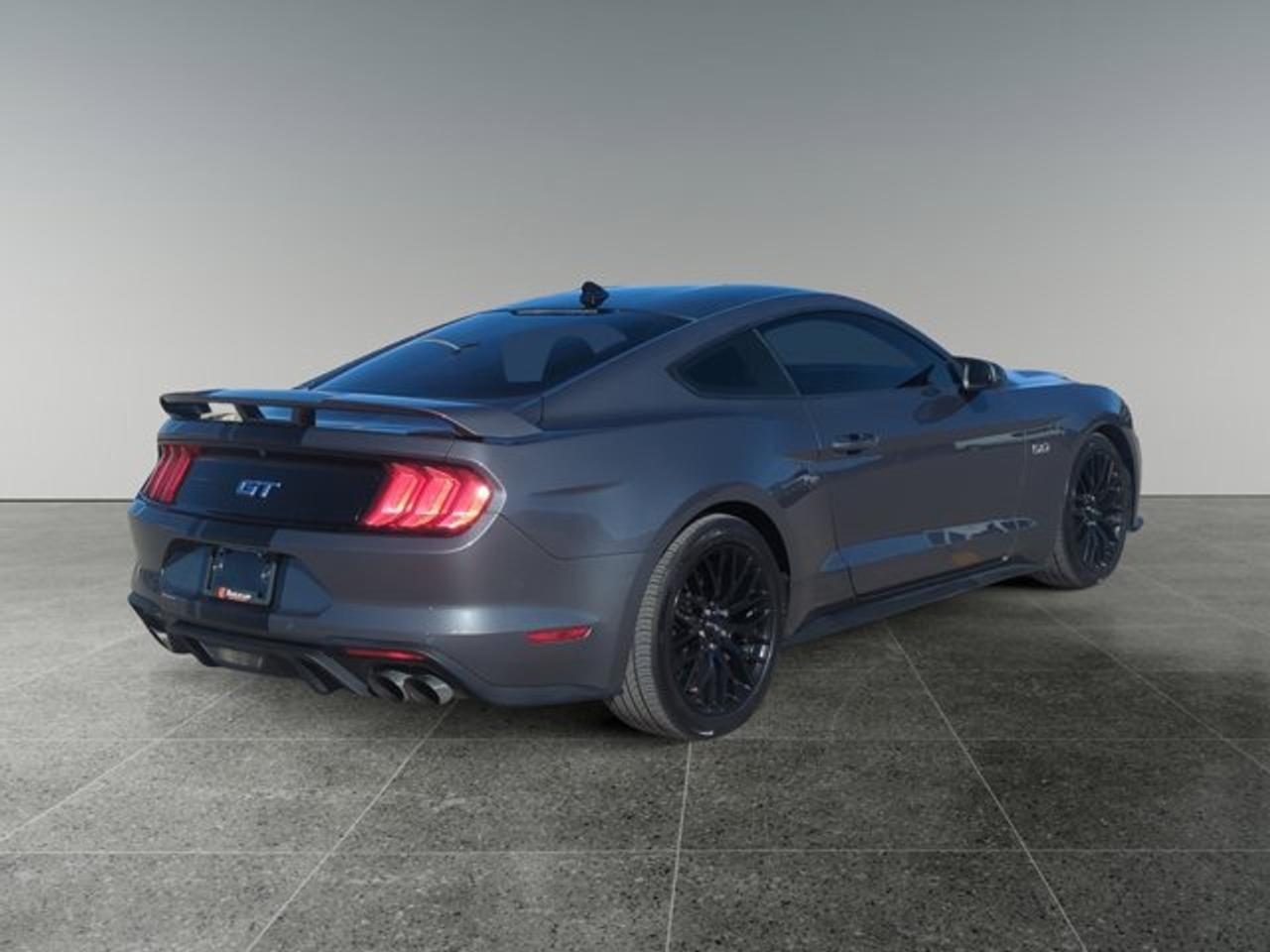 2021 Ford Mustang GT Photo
