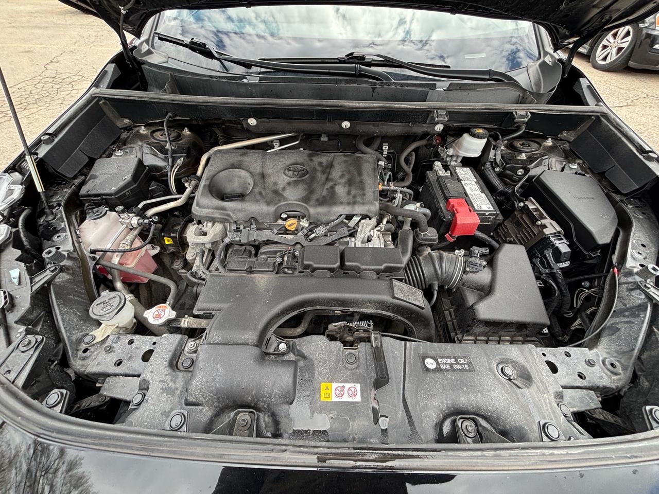 2021 Toyota RAV4 LE FWD Photo