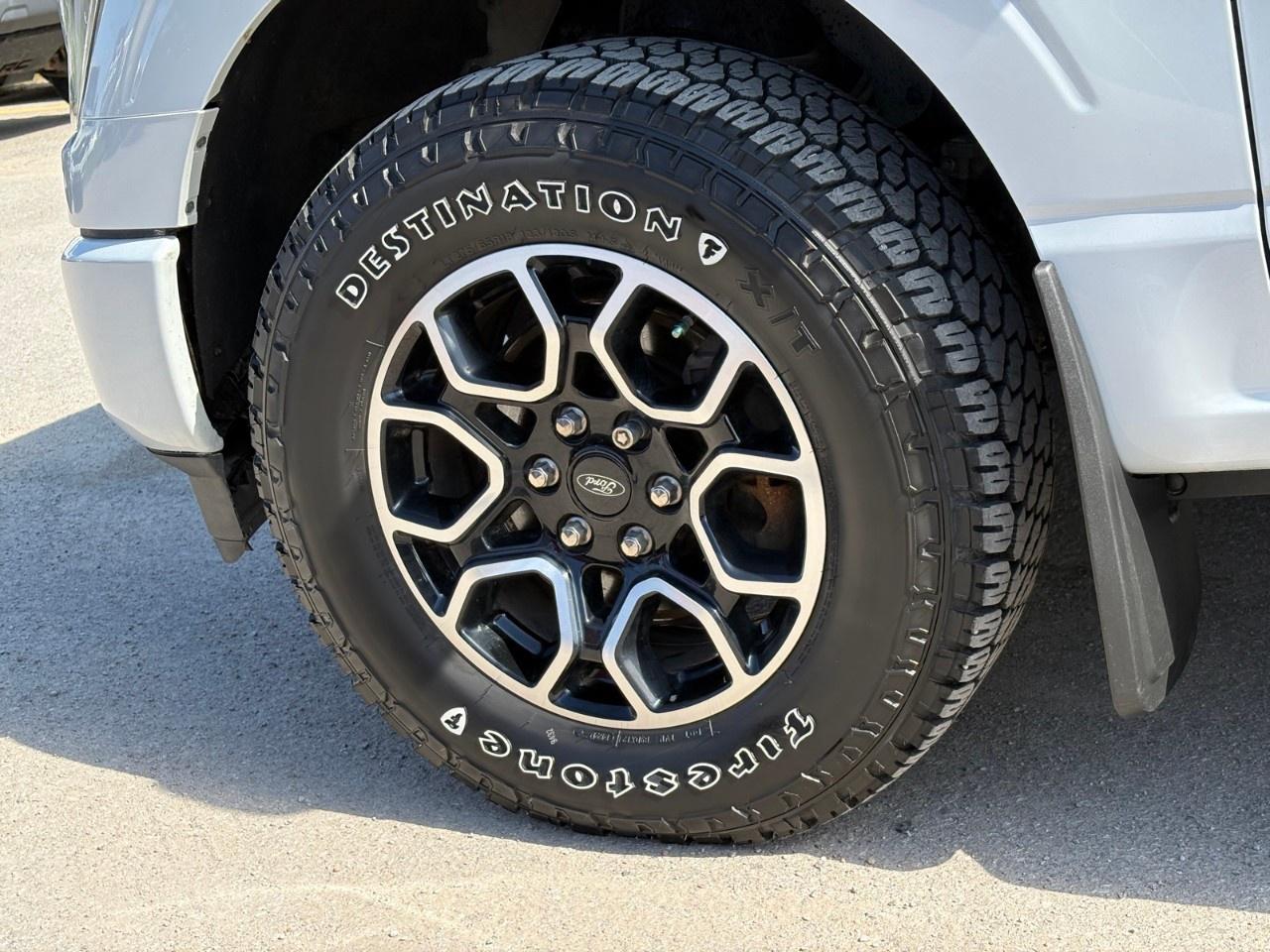 2021 Ford F-150  Photo
