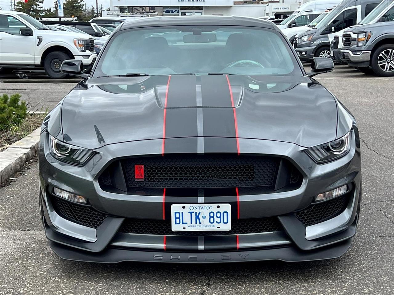 2016 Ford Mustang Shelby GT350 Photo