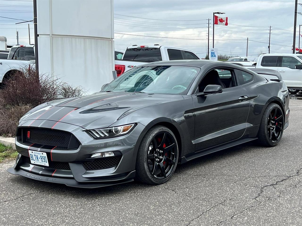 Used 2016 Ford Mustang Shelby GT350 for sale in Etobicoke, ON