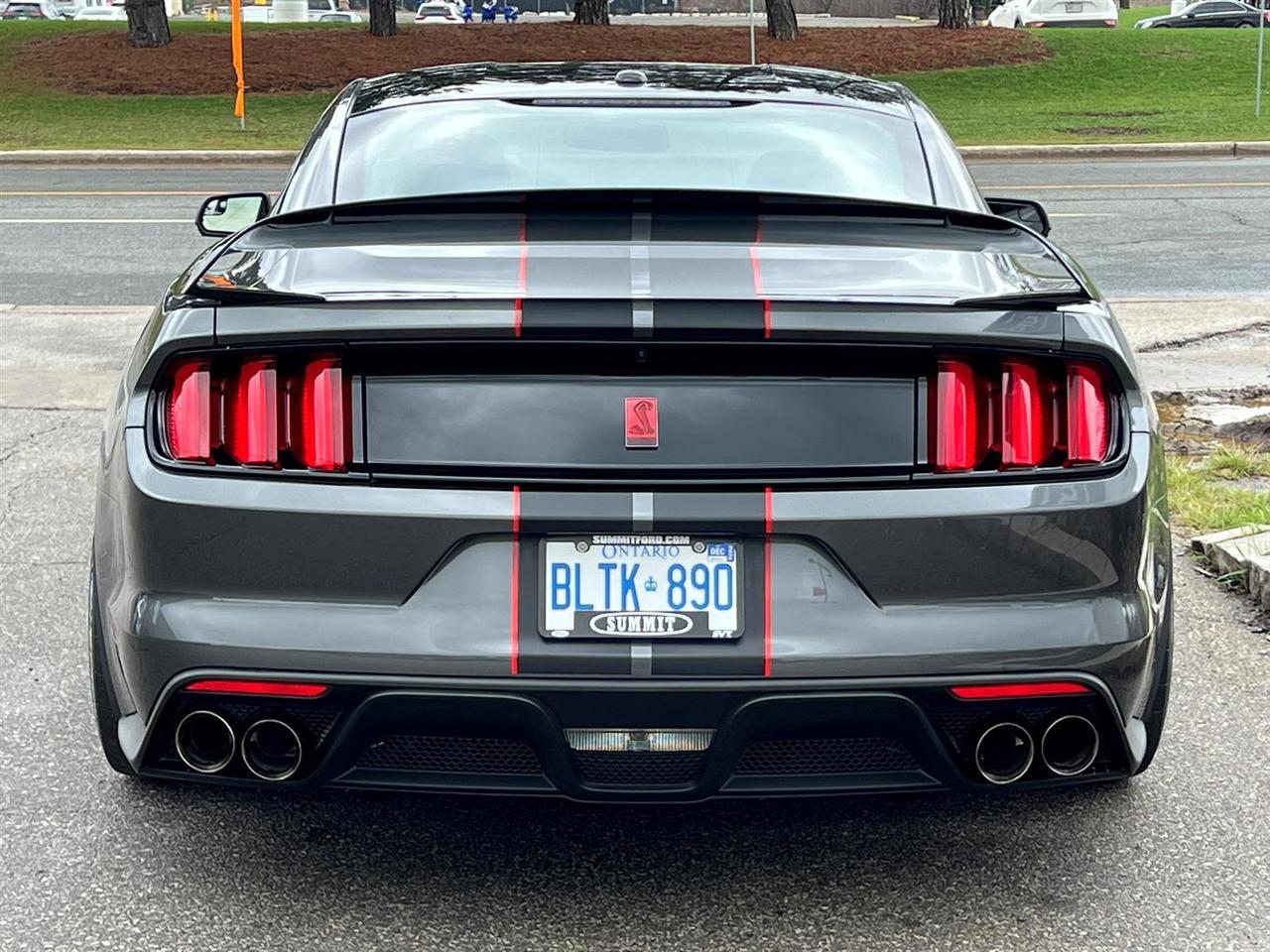 2016 Ford Mustang Shelby GT350 Photo