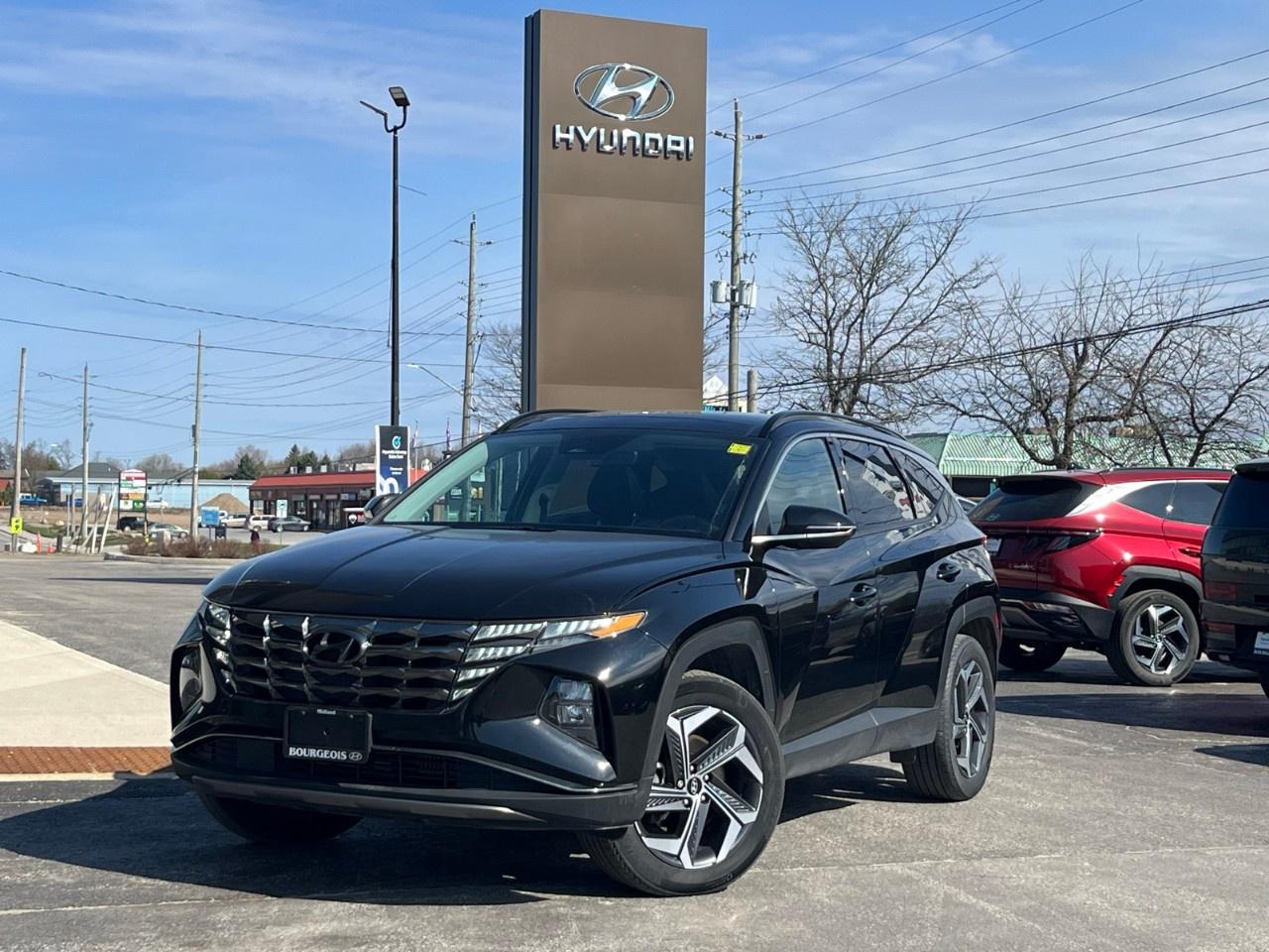 2022 Hyundai Tucson Hybrid Luxury AWD Photo