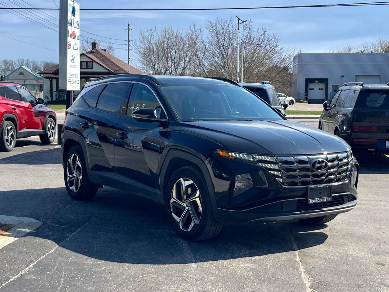 2022 Hyundai Tucson Hybrid Luxury AWD Photo