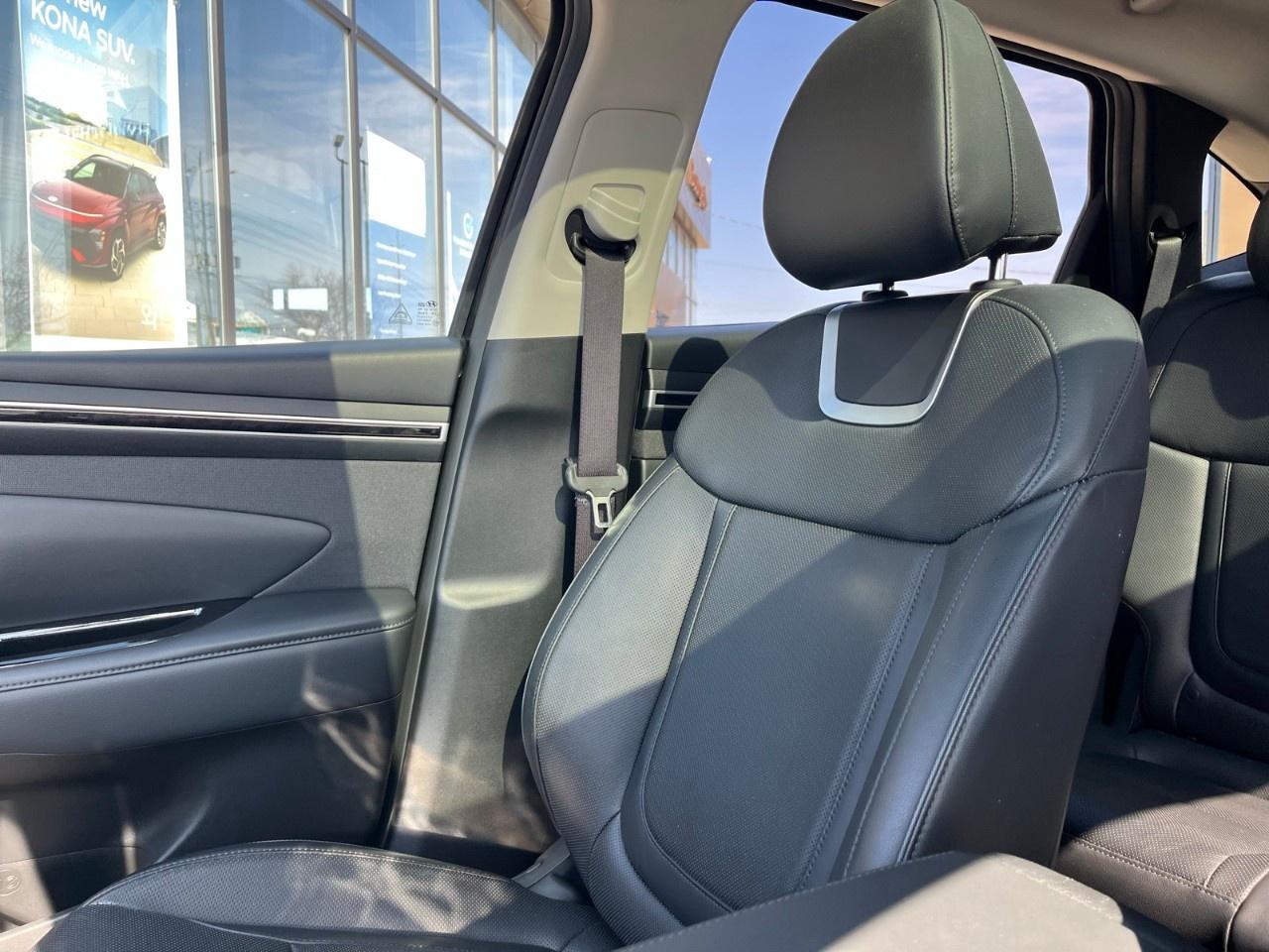 2022 Hyundai Tucson Hybrid Luxury AWD Photo