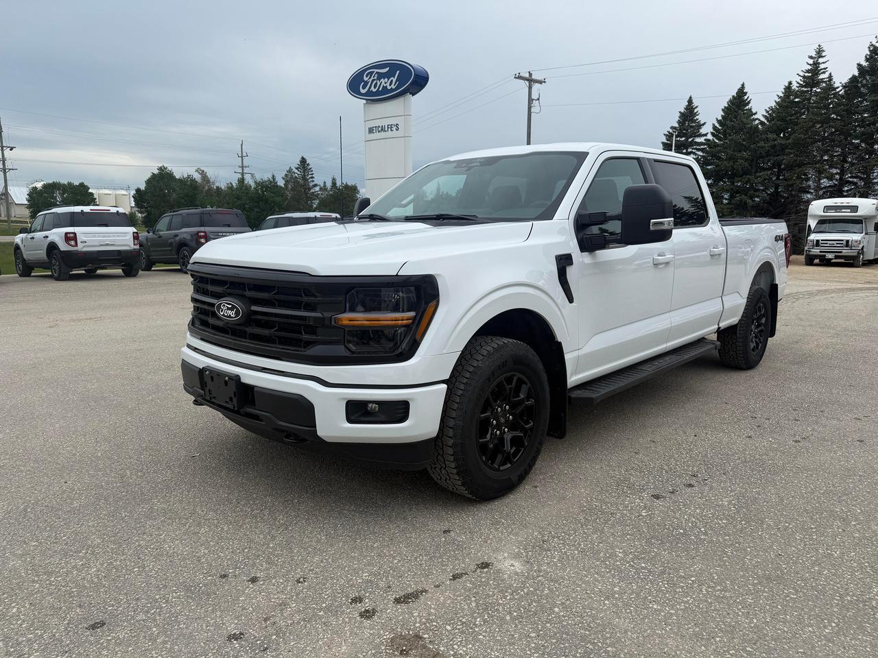 2026 Ford F-150 XLT 4WD SuperCrew 6.5' Box Photo3