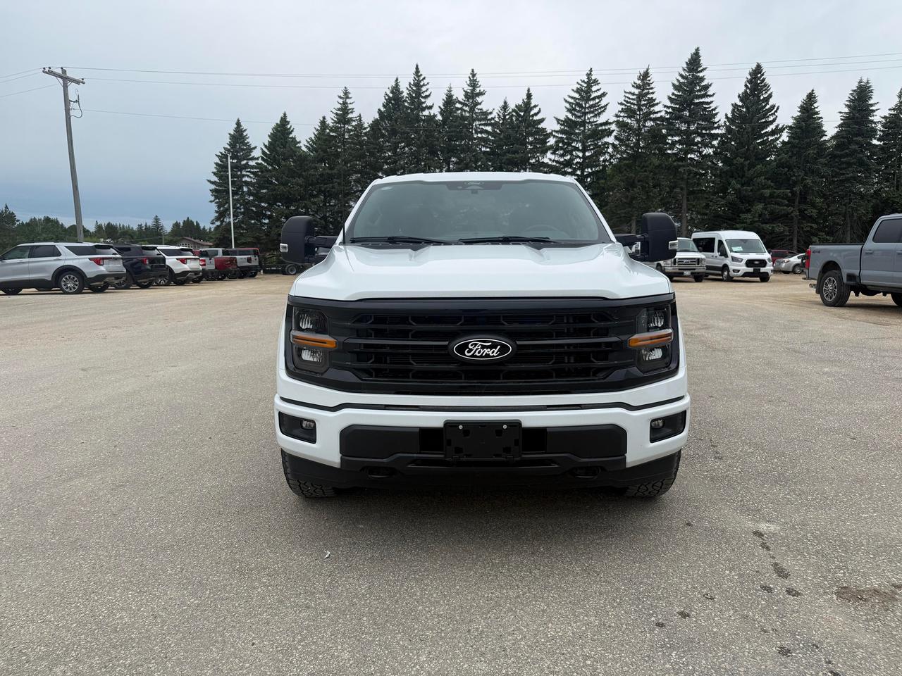 2026 Ford F-150 XLT 4WD SuperCrew 6.5' Box Photo2