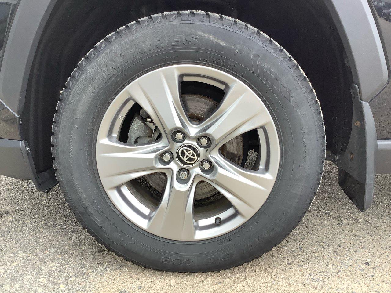 2023 Toyota RAV4 XLE Photo