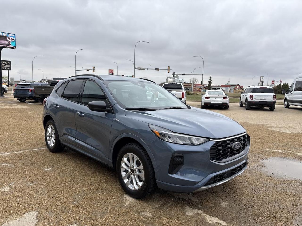 Used 2024 Ford Escape ST-Line for sale in Camrose, AB