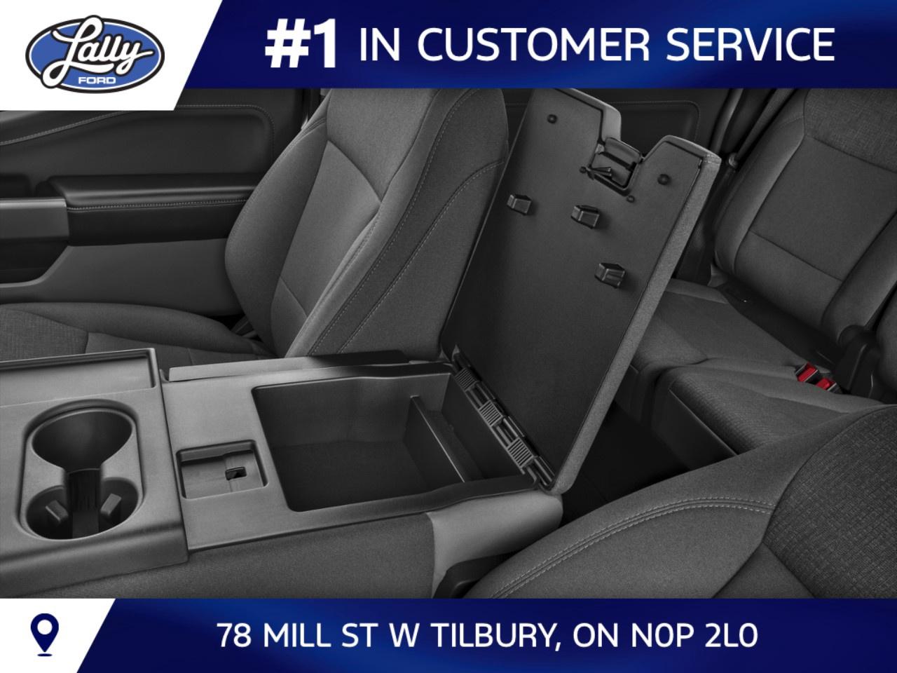 2026 Ford F-150 XLT 4WD SuperCrew 5.5' Box Photo