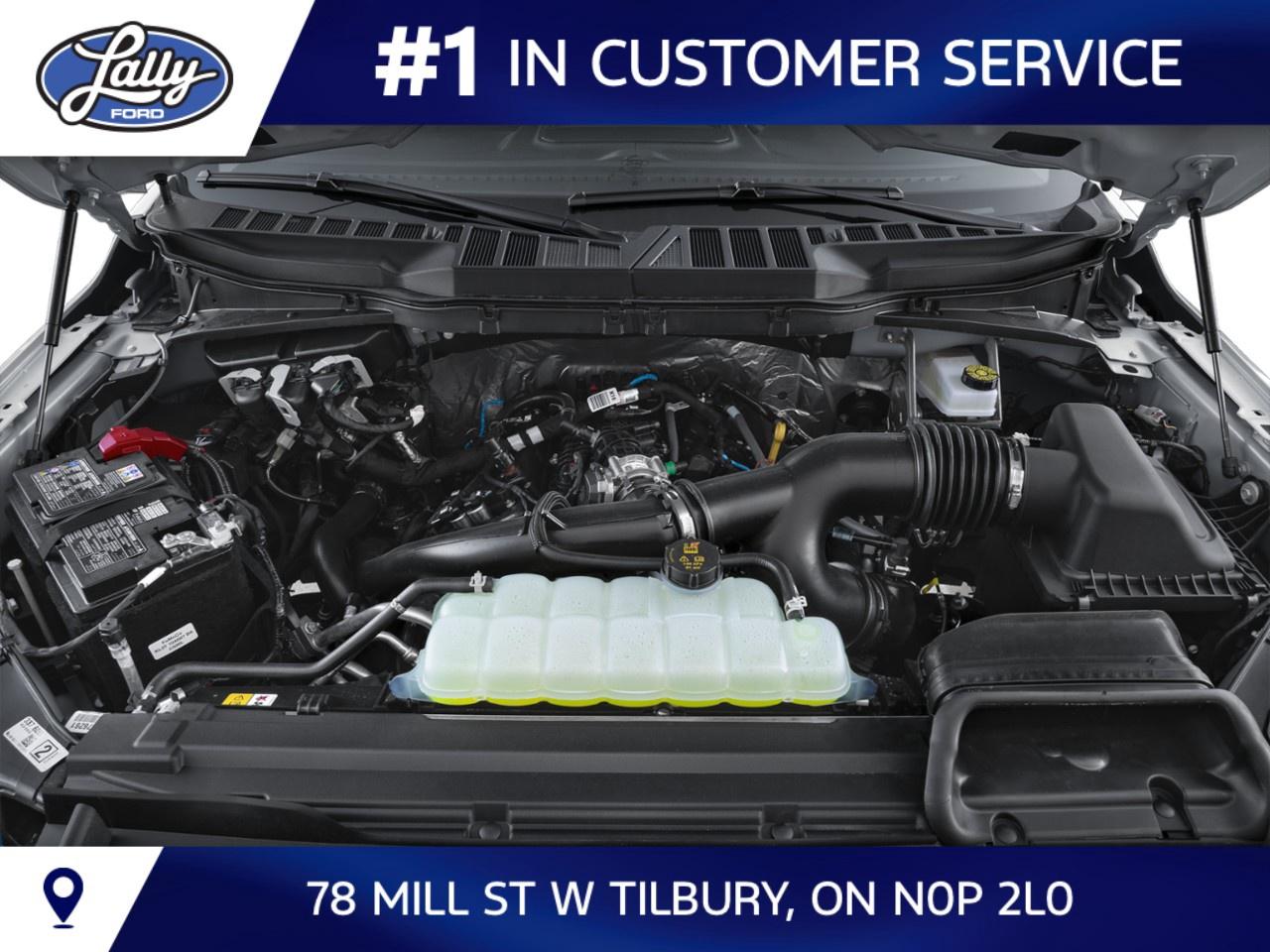 2026 Ford F-150 XLT 4WD SuperCrew 5.5' Box Photo