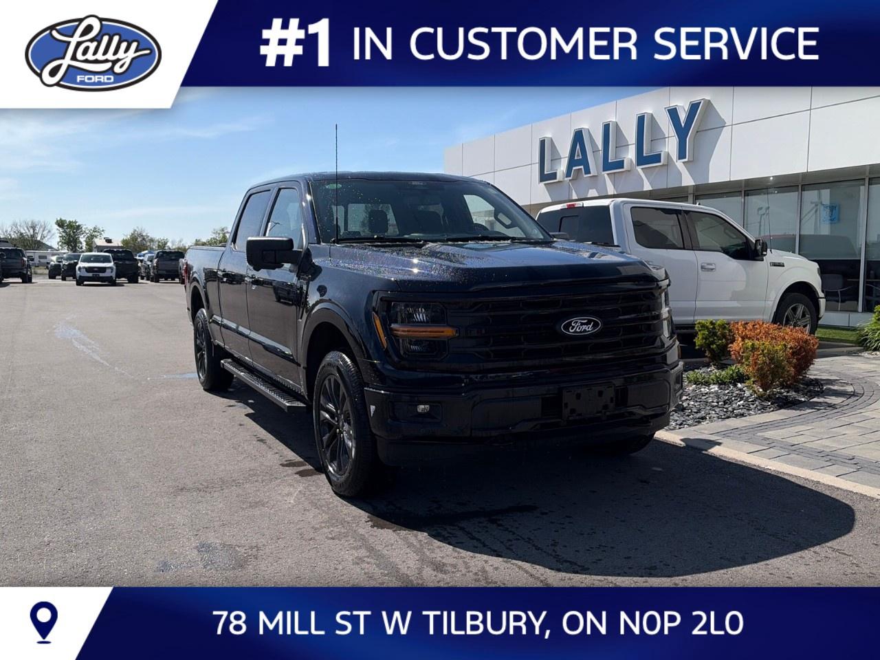 2026 Ford F-150 XLT 4WD SuperCrew 5.5' Box Photo