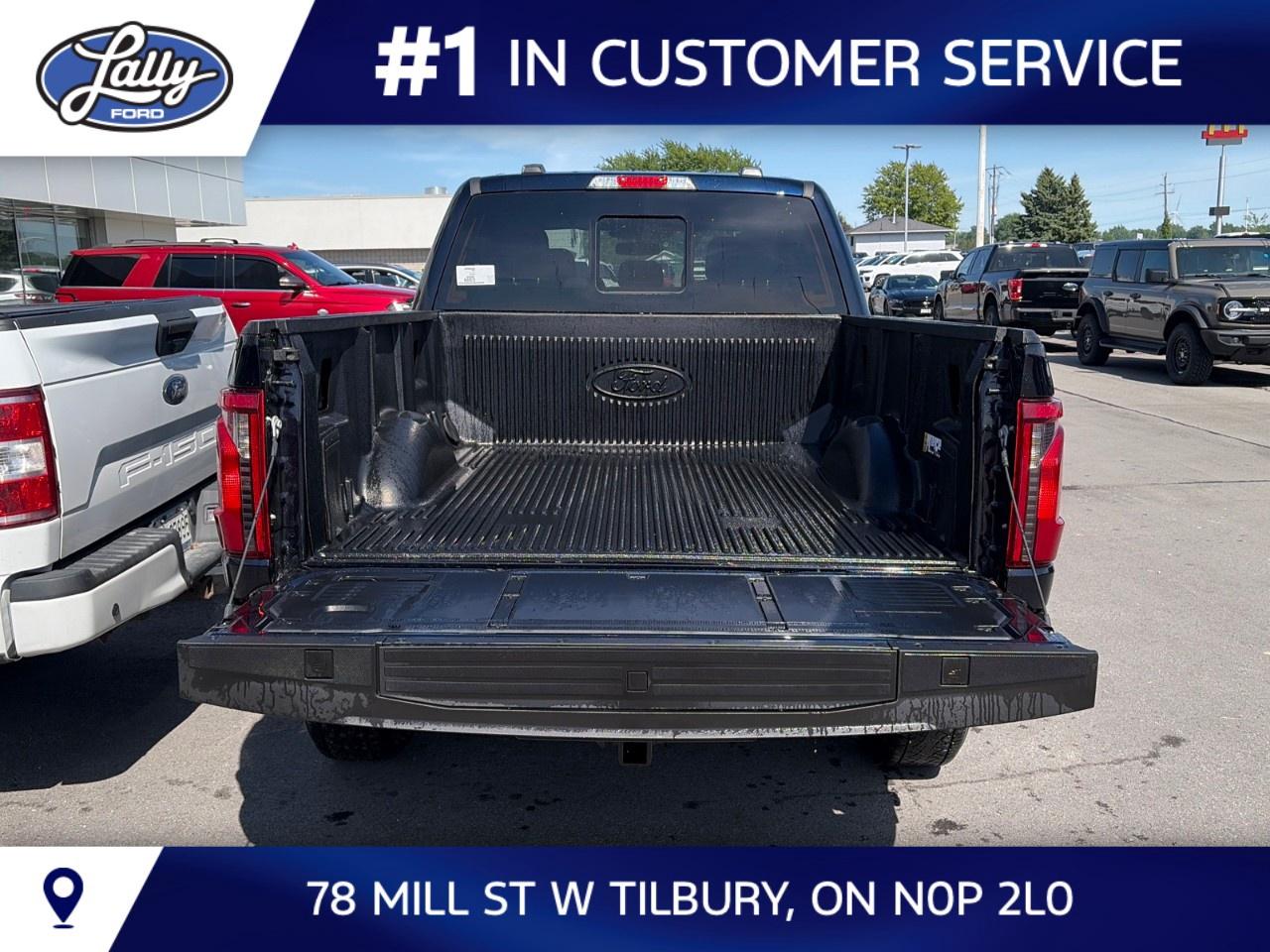 2026 Ford F-150 XLT 4WD SuperCrew 5.5' Box Photo