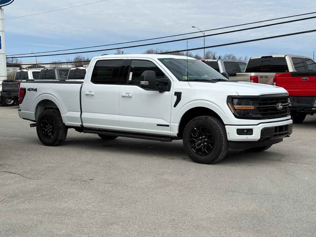 2026 Ford F-150 XLT 4WD SuperCrew 6.5' Box Photo