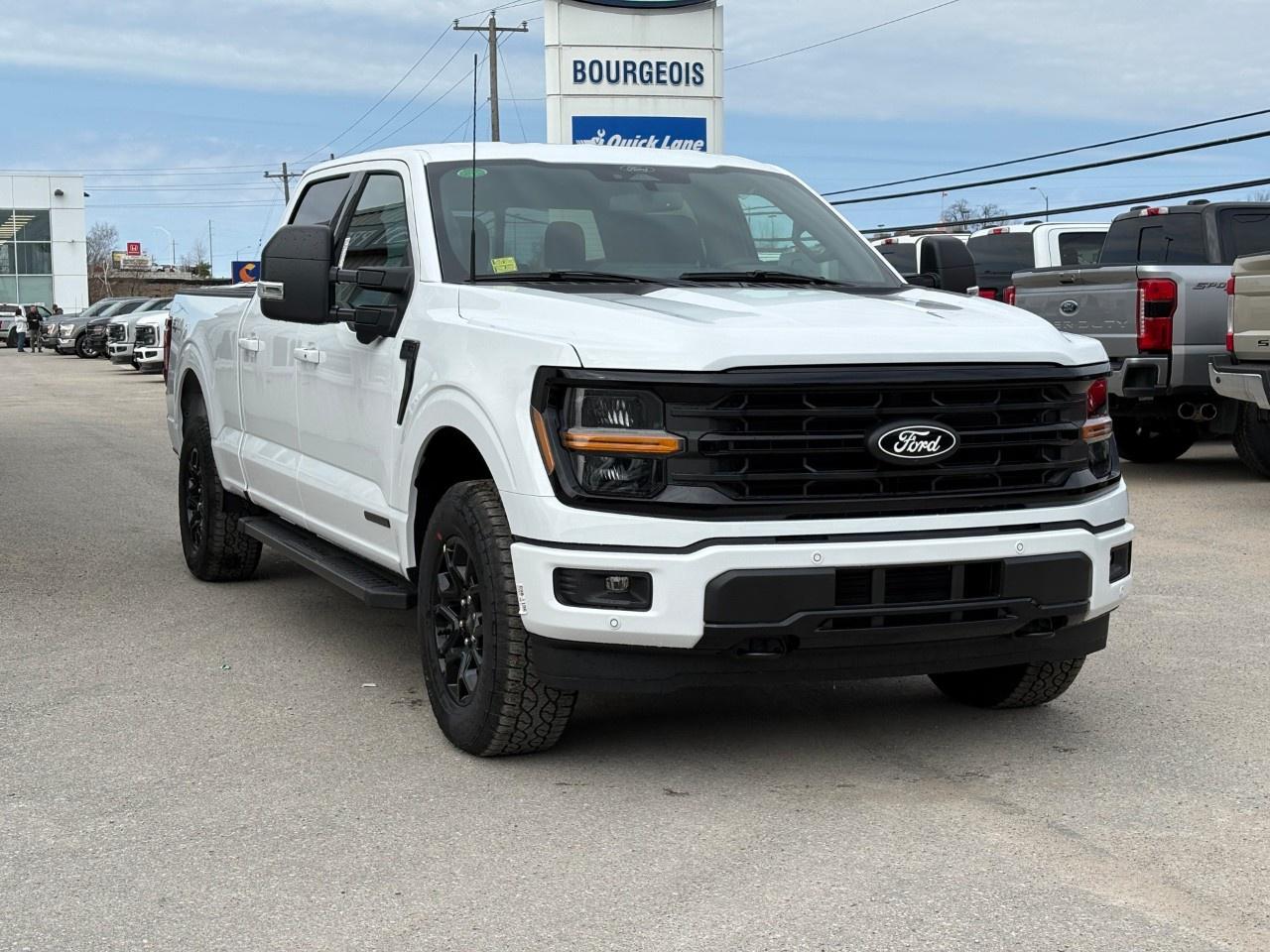 2026 Ford F-150 XLT 4WD SuperCrew 6.5' Box Photo3