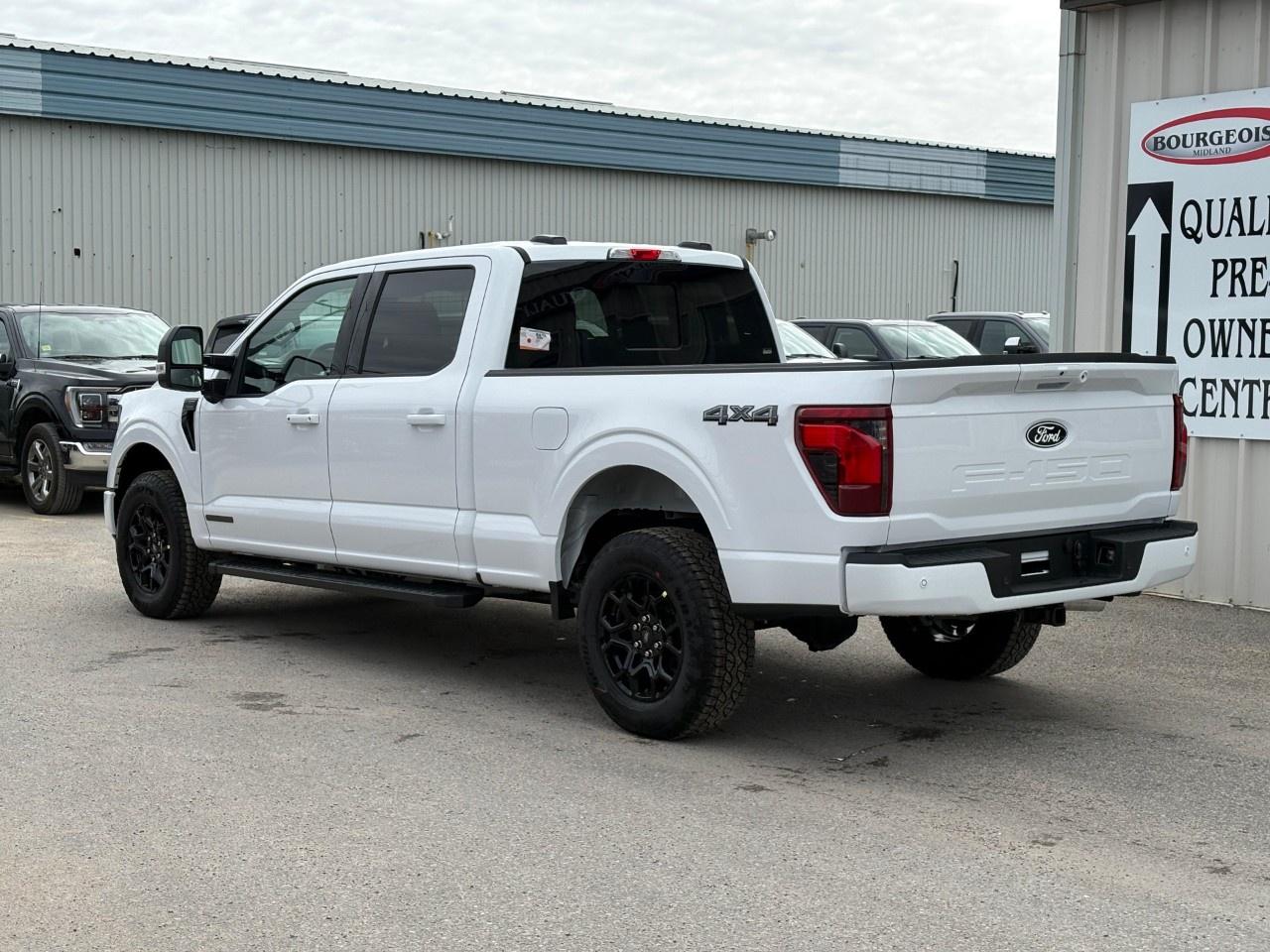 2026 Ford F-150 XLT 4WD SuperCrew 6.5' Box Photo