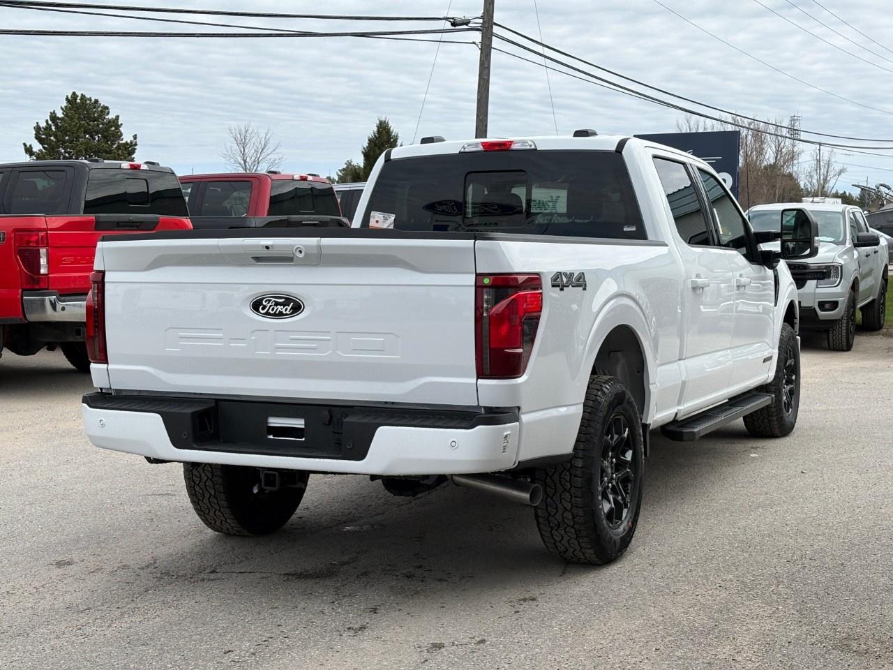 2026 Ford F-150 XLT 4WD SuperCrew 6.5' Box Photo