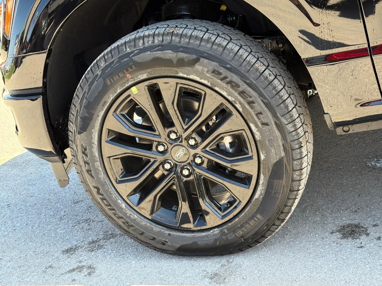 2026 Ford F-150 XLT 4WD SuperCrew 5.5' Box Photo