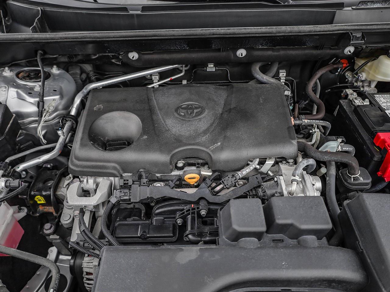 2022 Toyota RAV4 LE Photo