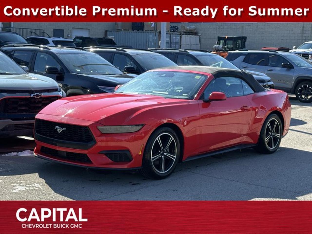 Recent Arrival!Ask for the Internet Department for more information or book your test drive today! Call 403-256-4960 for fast answers at your fingertips! Disclaimer: All prices are plus taxes. See dealer for details. AMVIC Licensed Dealer # B2020028.2025 Mustang 10-Speed Automatic RWD 2D Convertible, ABS brakes, Compass, Electronic Stability Control, Exterior Parking Camera Rear, Front dual zone A/C, Heated door mirrors, Heated front seats, Heated steering wheel, Illuminated entry, Low tire pressure warning, Remote keyless entry, Security Package, Traction control, Wheels: 18 x 8 Machined-Face Aluminum.