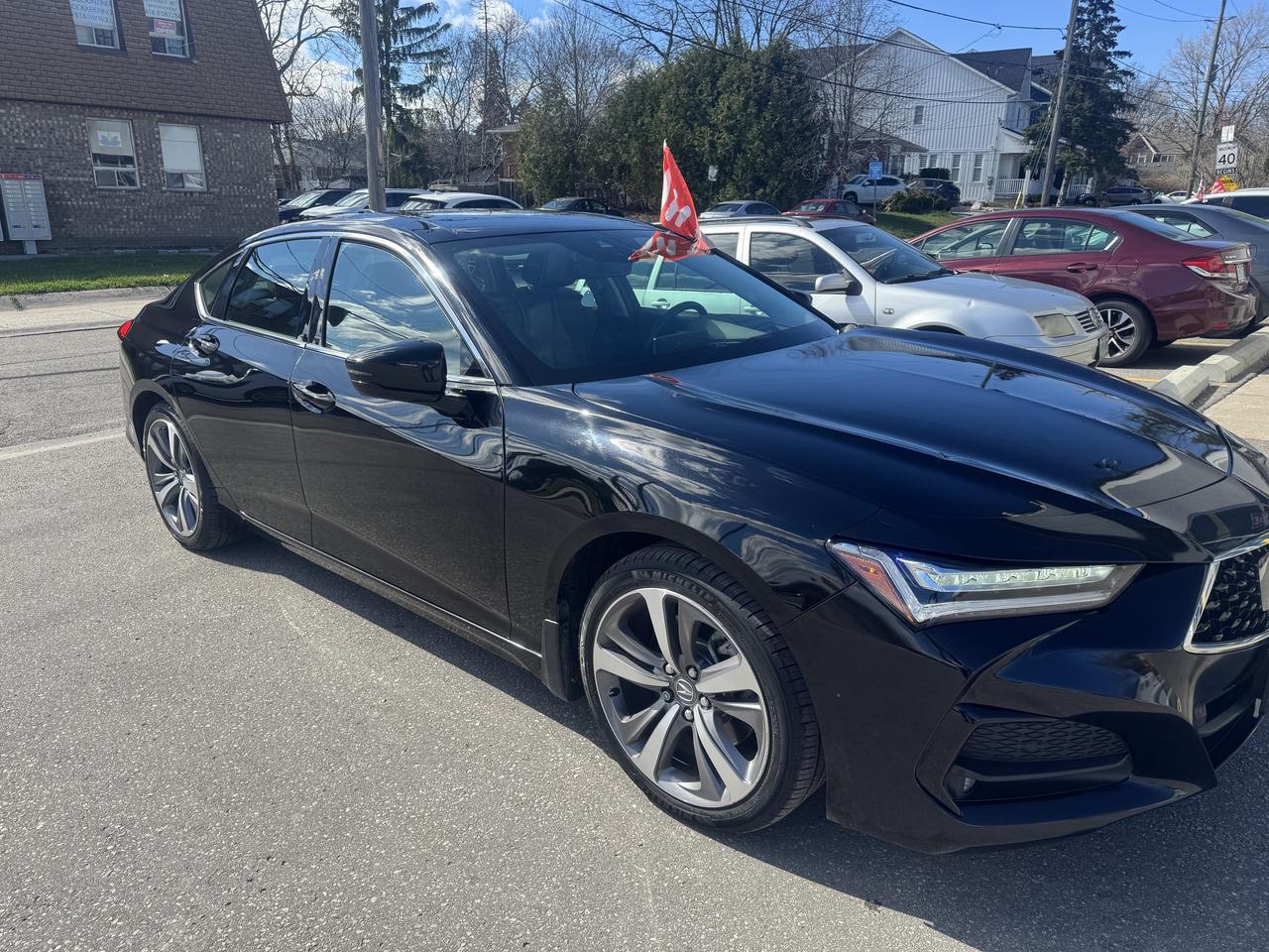 2022 Acura TLX  Photo