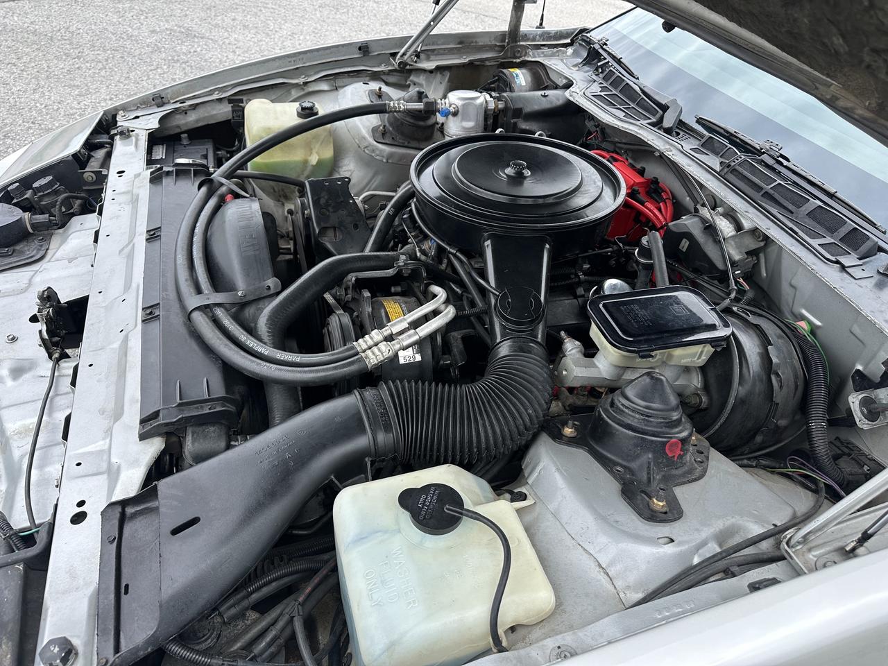 1985 Pontiac Firebird Automatic Am Photo