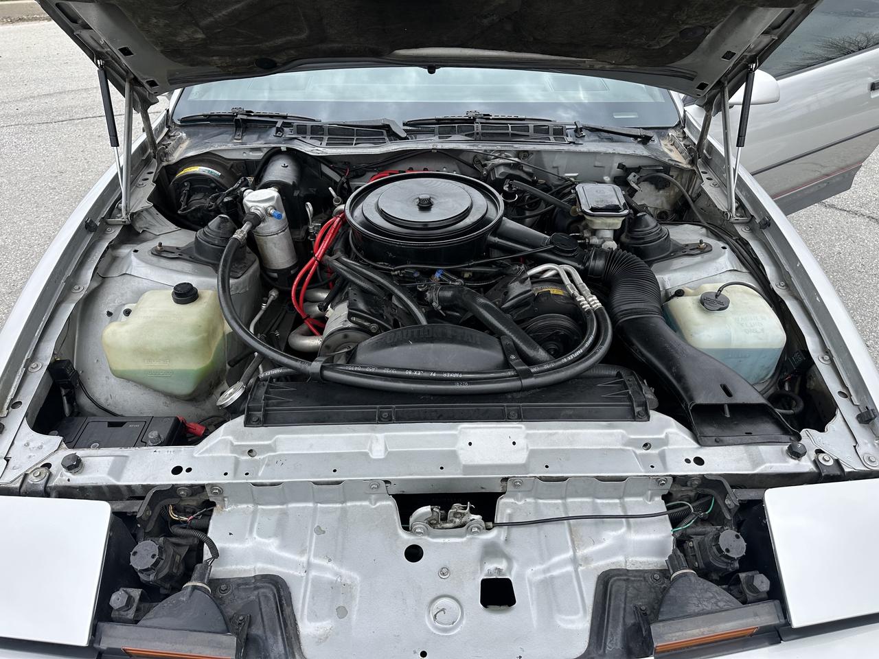 1985 Pontiac Firebird Automatic Am Photo