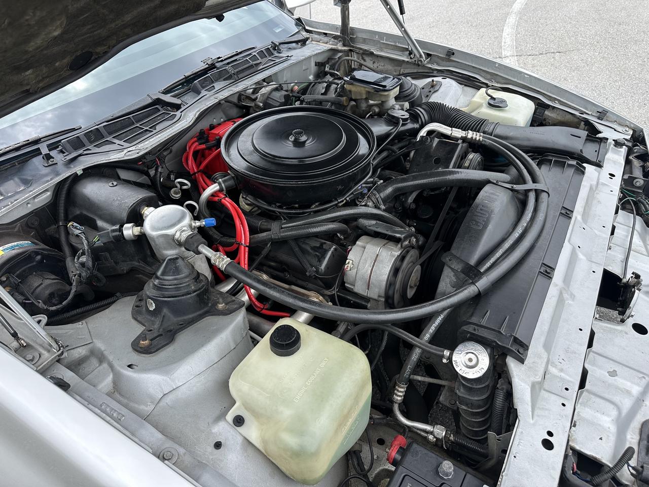 1985 Pontiac Firebird Automatic Am Photo