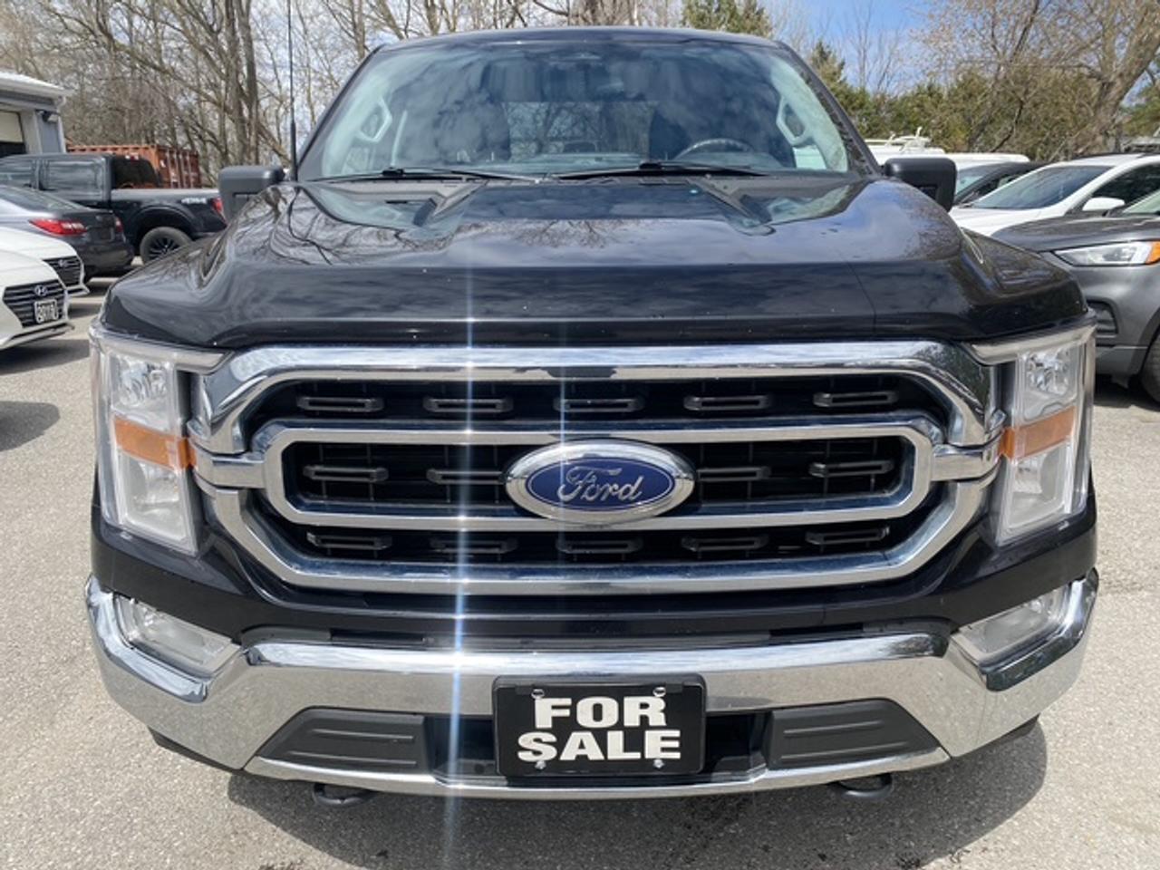 2023 Ford F-150 XLT CREW CAB STD BED 4WD SUPERCREW Photo