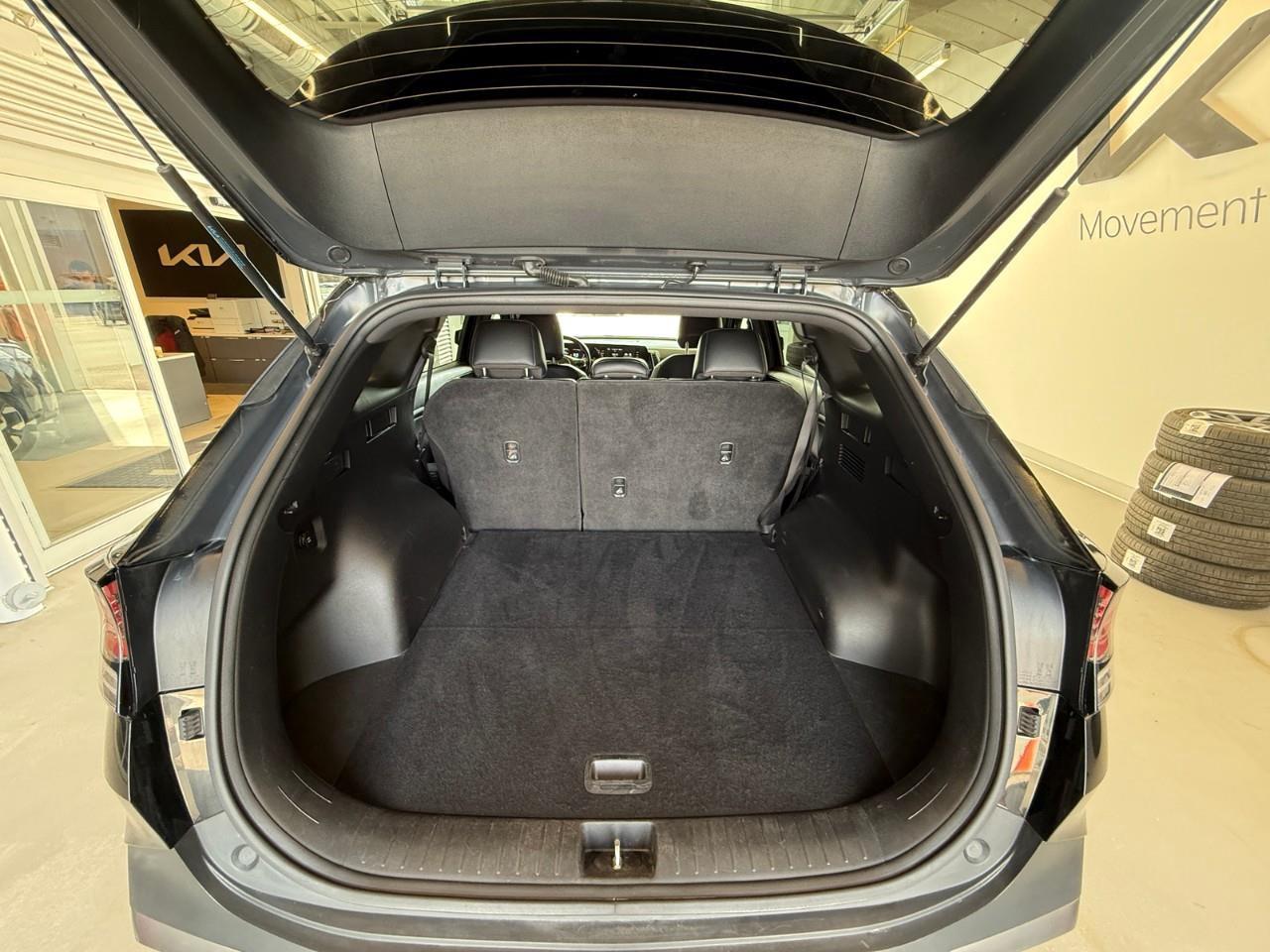 2023 Kia Sportage X-Line 4dr All-Wheel Drive Photo