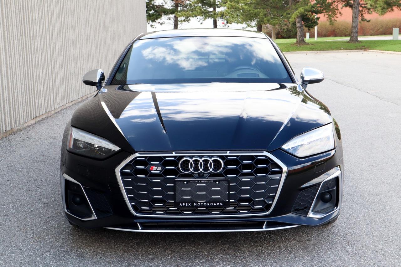 2020 Audi S5  Photo