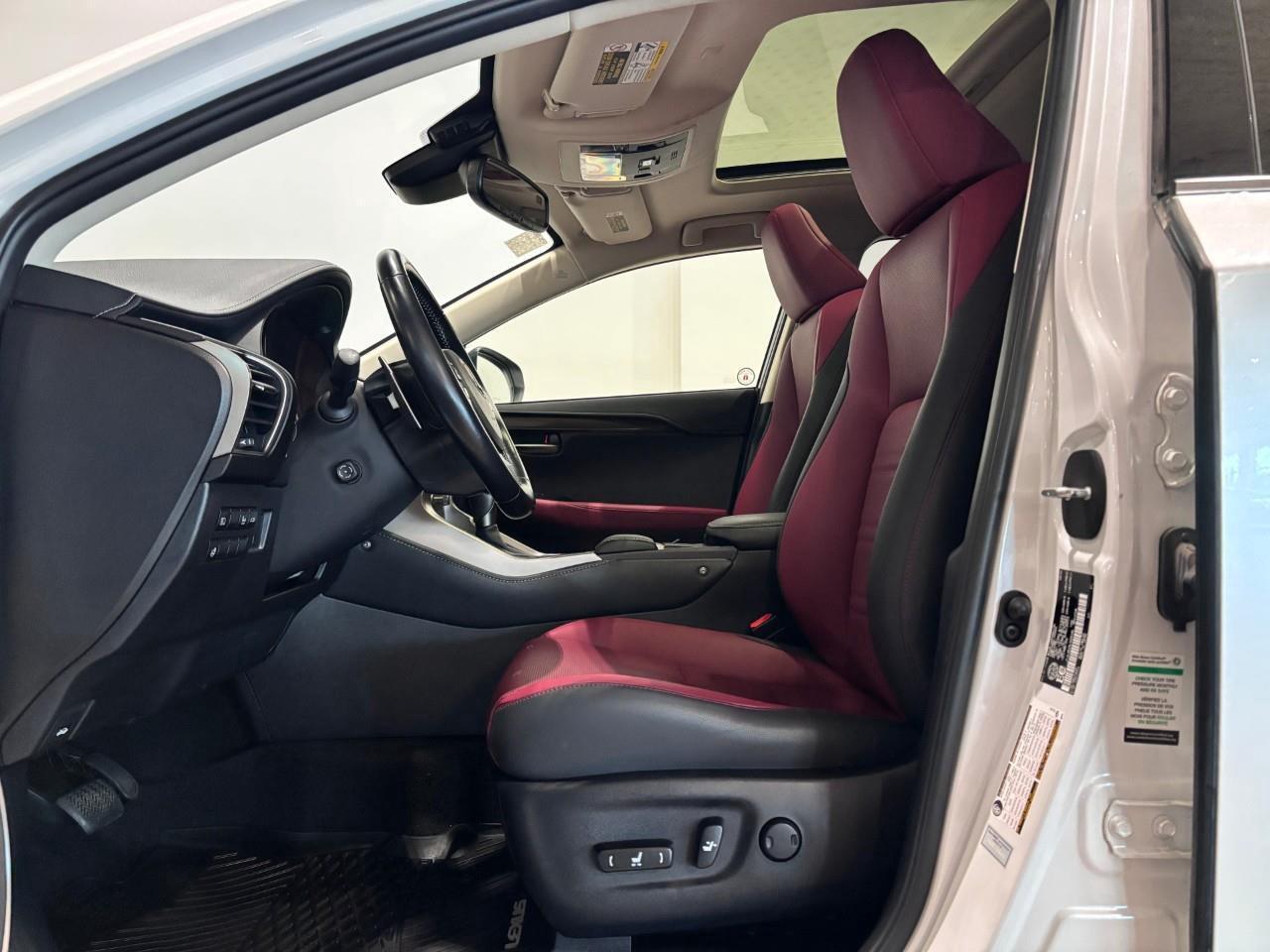 2020 Lexus NX 300h PREMIUM PACKAGE   ONE OWNER   CARFAX CLEAN Photo