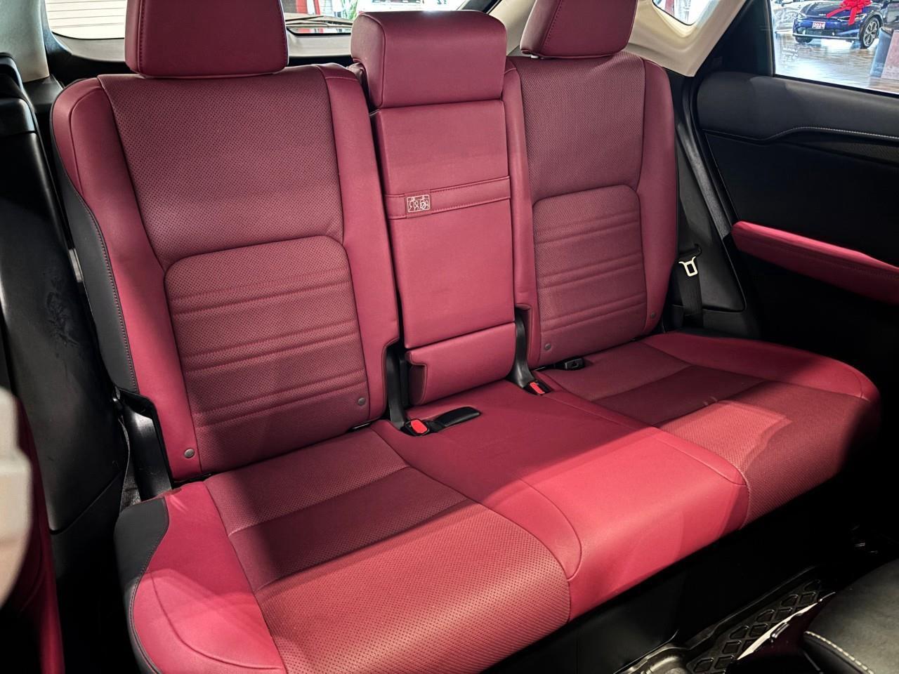 2020 Lexus NX 300h PREMIUM PACKAGE   ONE OWNER   CARFAX CLEAN Photo