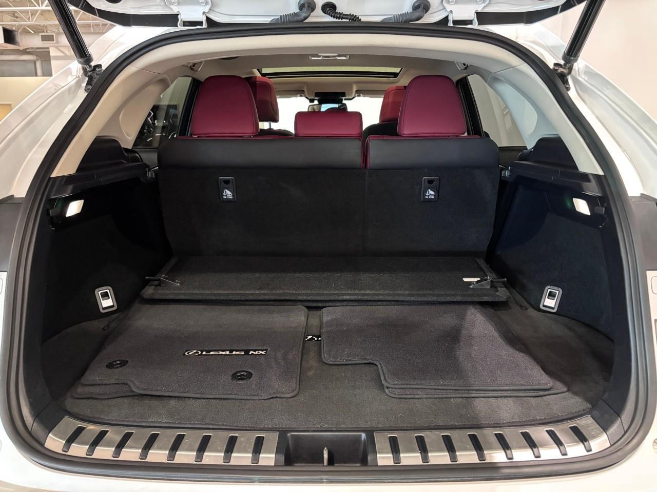 2020 Lexus NX 300h PREMIUM PACKAGE   ONE OWNER   CARFAX CLEAN Photo