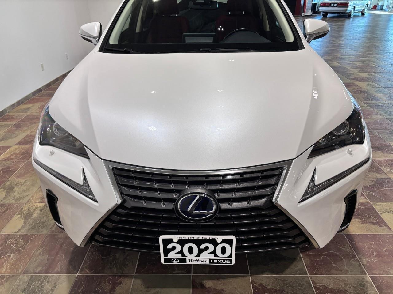 2020 Lexus NX 300h PREMIUM PACKAGE   ONE OWNER   CARFAX CLEAN Photo