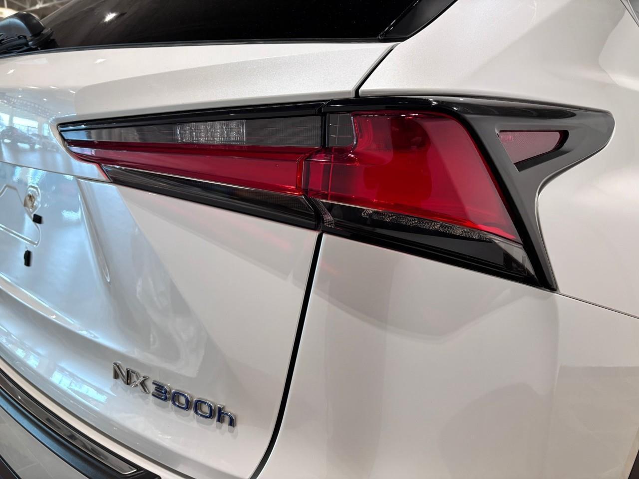 2020 Lexus NX 300h PREMIUM PACKAGE   ONE OWNER   CARFAX CLEAN Photo